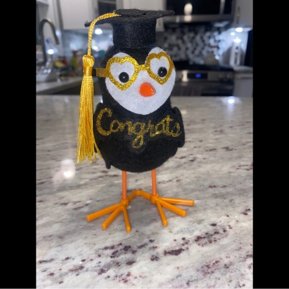 GRADUATION | Festive Congrats Bird Decor with Glitter Glasses and Grad Cap